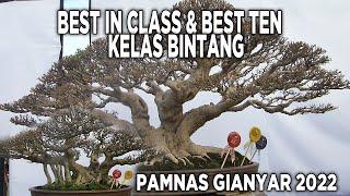 BONSAI BEST IN CLASS & BEST TEN KELAS BINTANG | PAMNAS GIANYAR 2022