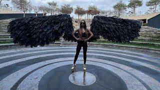 Механические крылья. Articulated Feathered Wings Motion