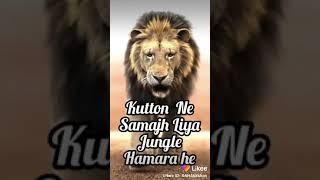 The Lion King