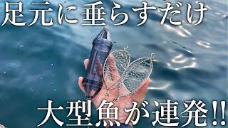 たった500円で大物が連発！ファミリー釣り場で超簡単に大型魚が釣れる［足元カゴ釣り］を紹介します