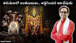 తిరుమల శ్రీవారి నామం వెనుక రహస్యం | Tirumala 12th century secrets revealed | NanduriSrinivas