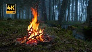 4K  Campfire in foggy Forest by the River  100% Authentic Sounds