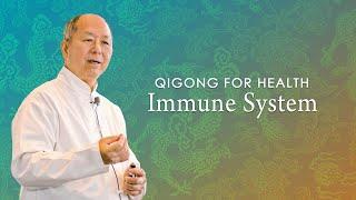 Qigong for Health: Immune System MASTER YANG LIVE (YMAA) Dr. Yang, Jwing-Ming DVD/streaming preview