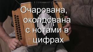 Очарована, околдована с нотами в цифрах