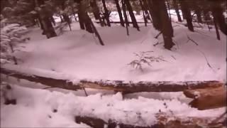 shawnee peak tree skiing