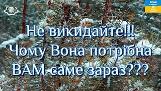 Не викидайте!!! Чому Вона потрібна ВАМ саме зараз???