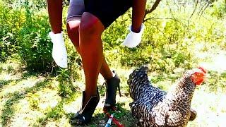 Lady Slaughter Chicken Barefoot - Part 1