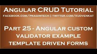 Angular custom validator example template driven forms