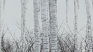 Icicles and drops January 2022 Сосульки и капель Январь 2022