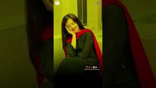 खाबो की वो रानी है मेरी मेहबूबा #sortstatus #tendingstatus #shortvairlvideo #publicstory #tending