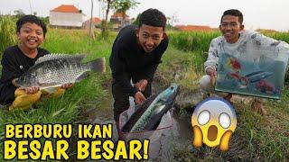 BERBURU IKAN CHANA VIRAL DIKALI PENGAIRAN, MALAH DAPET INI?! | Mikael TubeHD