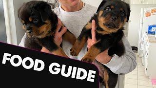 What Should IFeed My Rottweiler Puppy?