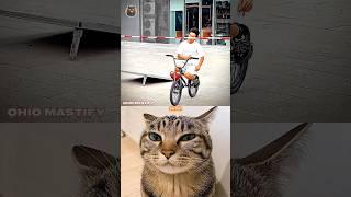 Fast reflex ️ #cat #funny #tiktok #memes #trending