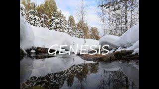 Genesis by Alexander Kuznetsov