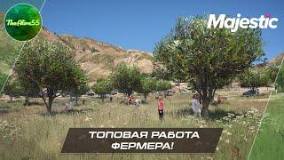 ФЕРМЕР - ТОПОВАЯ РАБОТА ДЛЯ НОВИЧКА! (MAJESTIC RP GTA 5)