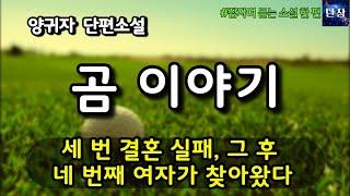 세 번 결혼 실패, 그 후 네 번째 여자가 찾아왔다 [곰 이야기] 양귀자  #책읽어주는남자 #오디오북  #책과함께하는하루단잠