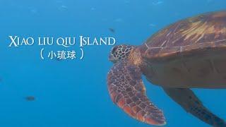 Dive into You | Xiao Liu Qiu 小琉球 (Lambai Island)