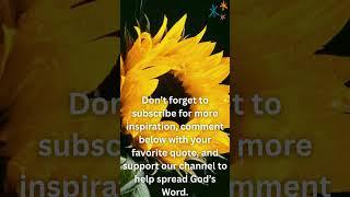 Align with God’s Purpose: Inspirational Spiritual Quote - Align with God's Purpose  #growyourfaith