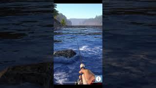 Catching taimen with ultra light spinning. Fishing in a mountain river RF4 #shorts #fishing #gaming