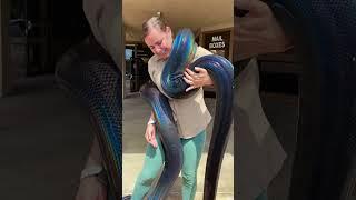 You Have To See This Gorgeous Rainbow Snake! 