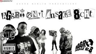 SIDO, KITTY KAT, FLER, TONY D, B-TIGHT - 5 KRASSE RAPPER - AGGRO ANTI ANSAGE ACHT - ALBUM - TRACK 01