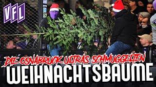 Warum Osnabrück-Ultras Weihnachtsbäume ins Stadion schmuggelten...