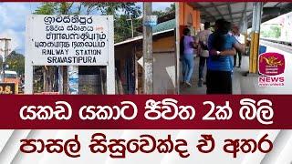 යකඩ යක‍ාට ජීවිත 2ක් බිලි.. පාසල් සිසුවෙක්ද ඒ අතර | Rupavahini News