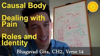 16. Dealing with Pain, Roles & Identity, Swadharma, Causal Body (Karana Sharira) – BG CH2, Verse 14