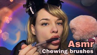 ASMR - Your cat chewing | nibbling | sniffing | lick your make up brushes