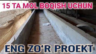 MOL BOQISH UCHUN ZO‘R 15 TALIK MOLXONA PROEKTI