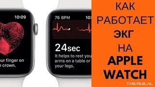 Как работает ЭКГ на Apple Watch