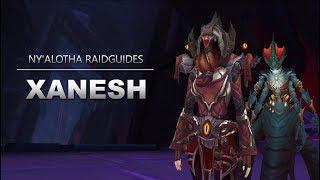 Dunkle Inquisitorin Xanesh Raidguide - Ny'alotha (Heroisch, Normal, LFR) | WoW