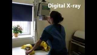 Animal Tails Vets Practice Tour