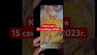 КАРТА ДНЯ 15 сентября 2023г. Душевное таро #душевноетаро #таро #картадня