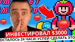 ️ТОМАРКЕТ 🟢+$3000 ВСЕГО ЗА 14 ДНЕЙ! 🟢 СРОЧНО ОСТАЛОСЬ ВСЕГО 24 ЧАСА УМНОЖИТЬ ДРОП 🟢 НЕ УПУСТИ ШАНС!