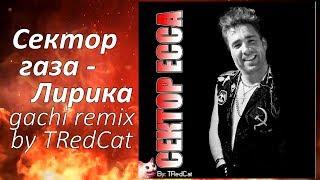 Сектор ASSа - ЛириCUM (TRedCat Gachi remix) 