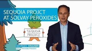 Sequoia project introduction for customers