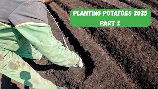 PLANTING POTATOES ON THE FARM 2025 - PART 2 - Fenland Farming Adventures
