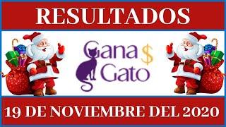 Lotería Gana Gato resultados de hoy 19 de Noviembre en todas las #LoteríasMexicanas