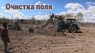 Подготовка поля к посеву после раскорчёвки. Уборка палок зубовыми боронами.