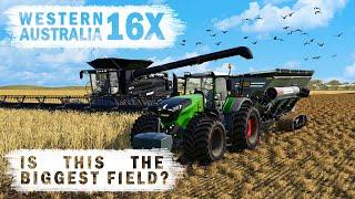 Western Australia 16x - Harvesting one of the biggest fields - Ep07 - FS19