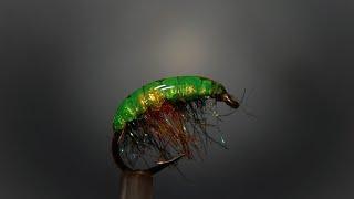 Gammarus.  Scud Fly. #flyfishing #flytying #trout #diy