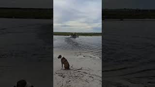#ycfairboats #airboat #boat #boatbuilding #diy #florida #realflorida #shortsfeed #shorts #shortvideo