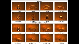 LMFL Fluid Mechanics Webinar: V. Bertola