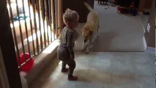 Surprise poop while playing with a balloon