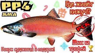 РР4. Где живет Кижуч на реке Яма!? Шанс на Трофей!