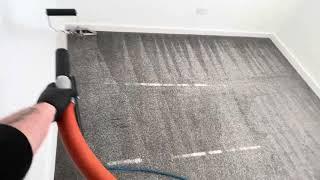 Hot water extraction carpet cleaning (NOT LIKE NEW BUT CLEAN)