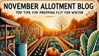 November Allotment Blog: Top Tips for Prepping Your Plot for Winter.