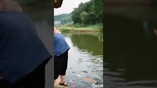B, rural life, fish farming diary, fish farmer, rural revitalization, boo absurd video