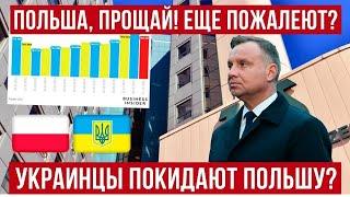 ПРОЩАЙ, ПОЛЬША? Украинцы МАССОВО выедут из Польши? Бизнес бьет тревогу! Анализ проблемы